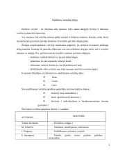 Vertybių funkcionavimas socialiniame gyvenime ir švietime 3 puslapis