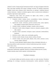 Vertybių funkcionavimas socialiniame gyvenime ir švietime 5 puslapis