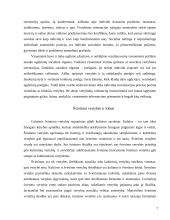 Vertybių funkcionavimas socialiniame gyvenime ir švietime 6 puslapis