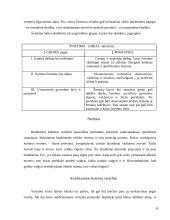 Vertybių funkcionavimas socialiniame gyvenime ir švietime 7 puslapis