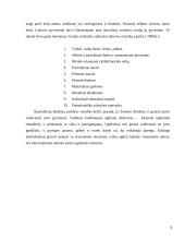 Vertybių funkcionavimas socialiniame gyvenime ir švietime 8 puslapis