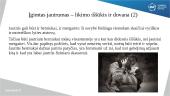 Kaip atpažinti itin jautrius vaikus ir ką svarbu žinoti auginant juos? 2 puslapis