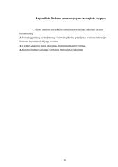 Vertingiausi Palangos, Birštono, Druskininkų, Neringos kurortų rekreaciniai ištekliai 16 puslapis