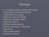Elektros pradmenys