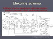 Elektros pradmenys 13 puslapis