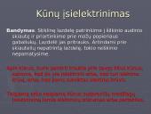 Elektros pradmenys 3 puslapis