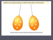 Elektros pradmenys 7 puslapis