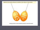 Elektros pradmenys 9 puslapis