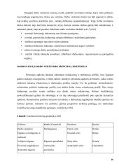 Vertinimas ir skatinimas 16 puslapis