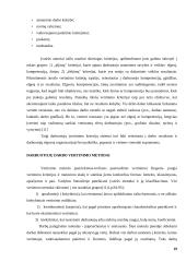 Vertinimas ir skatinimas 19 puslapis