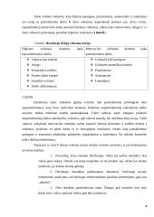 Vertinimas ir skatinimas 4 puslapis