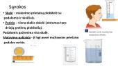 Fizikiniai dydžiai ir jų matavimas 12 puslapis