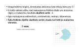 Fizikiniai dydžiai ir jų matavimas 8 puslapis