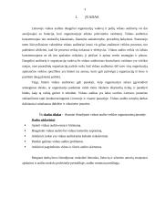 Vidaus audito veiklos organizavimas 2 puslapis