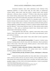 Vidaus audito veiklos organizavimas 3 puslapis