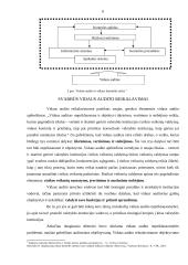 Vidaus audito veiklos organizavimas 5 puslapis