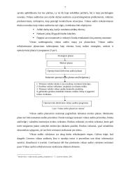 Vidaus audito veiklos organizavimas 6 puslapis