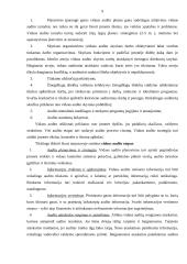 Vidaus audito veiklos organizavimas 8 puslapis