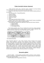 Vidaus kontrolės sistemos elementai 2 puslapis