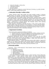 Vidaus kontrolės sistemos elementai 3 puslapis