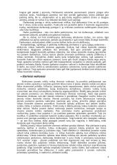 Vidaus kontrolės sistemos elementai 4 puslapis