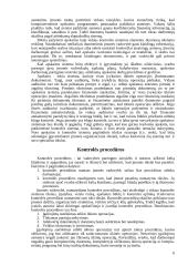 Vidaus kontrolės sistemos elementai 6 puslapis