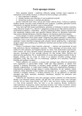 Vidaus kontrolės sistemos elementai 8 puslapis