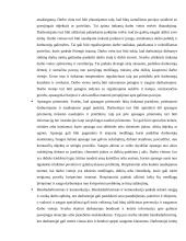 Nelaimingi atsitikimai, jų priežastys ir prevencinės priemonės 11 puslapis