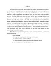 Nelaimingi atsitikimai, jų priežastys ir prevencinės priemonės 2 puslapis