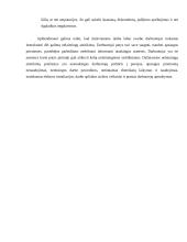 Nelaimingi atsitikimai, jų priežastys ir prevencinės priemonės 8 puslapis