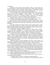 Vidaus transportas 12 puslapis