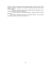 Vidaus transportas 13 puslapis