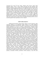 Vidaus transportas 6 puslapis