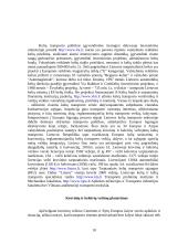 Vidaus transportas 10 puslapis