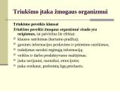 Klausa ir garsinė informacija (ergonomika) 12 puslapis