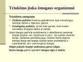 Klausa ir garsinė informacija (ergonomika) 6 puslapis