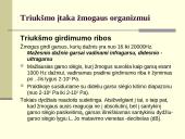 Klausa ir garsinė informacija (ergonomika) 7 puslapis
