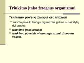 Klausa ir garsinė informacija (ergonomika) 10 puslapis