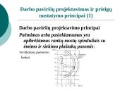 Ergonominis darbo paviršius 2 puslapis