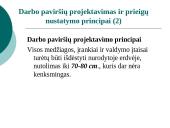 Ergonominis darbo paviršius 3 puslapis