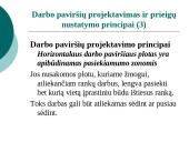 Ergonominis darbo paviršius 4 puslapis