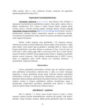 Sausumos transporto būklė Lietuvoje 13 puslapis