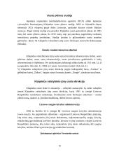 Sausumos transporto būklė Lietuvoje 19 puslapis