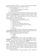 Sausumos transporto būklė Lietuvoje 7 puslapis