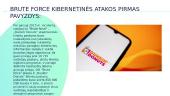Brute Force kibernetinė ataka 3 puslapis