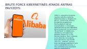 Brute Force kibernetinė ataka 4 puslapis