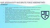 Brute Force kibernetinė ataka 5 puslapis
