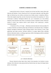 Esminės lyderio savybės 3 puslapis