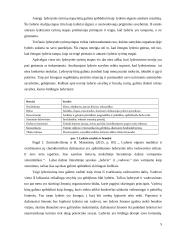 Esminės lyderio savybės 4 puslapis