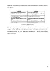 Esminės lyderio savybės 5 puslapis